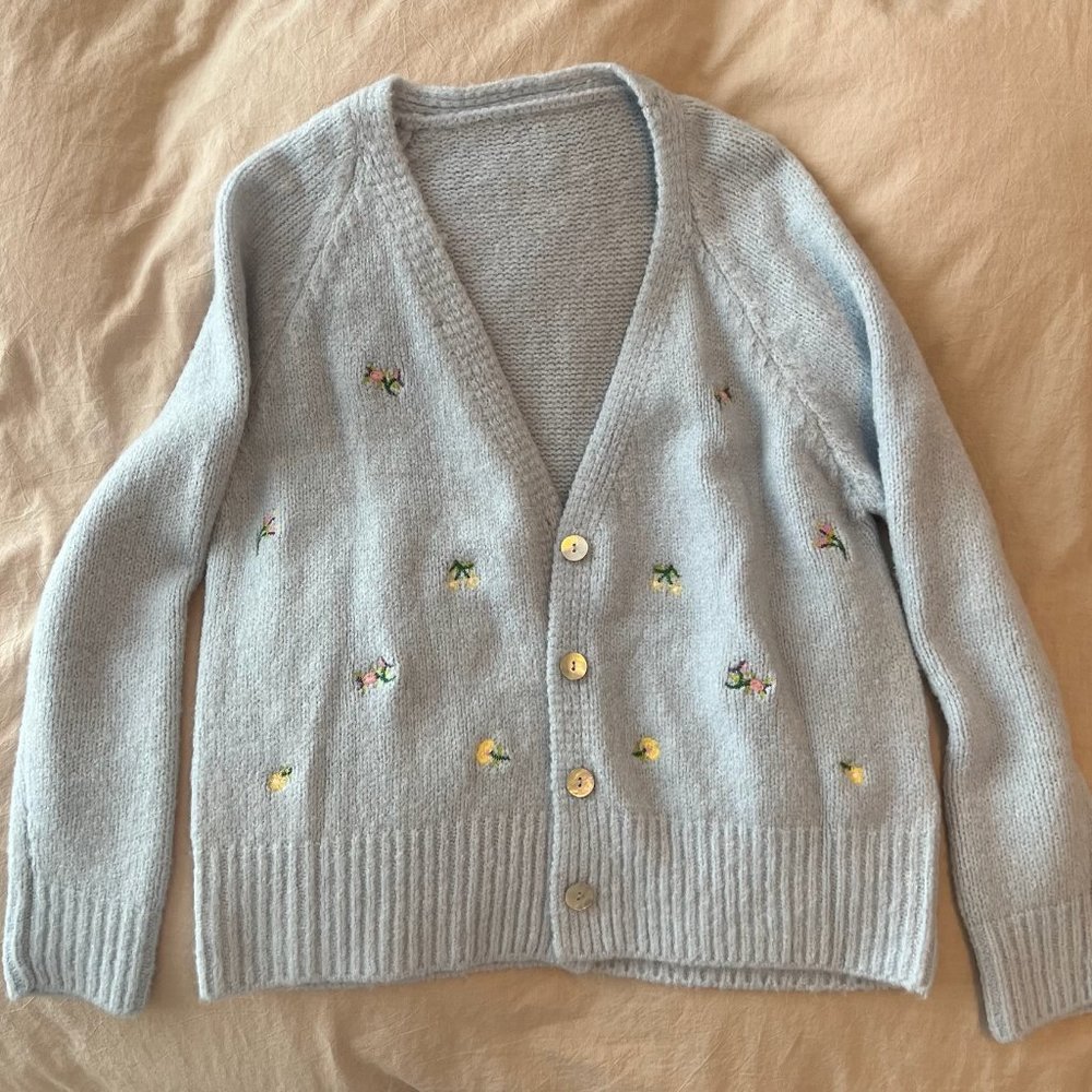 Blue Cardigan